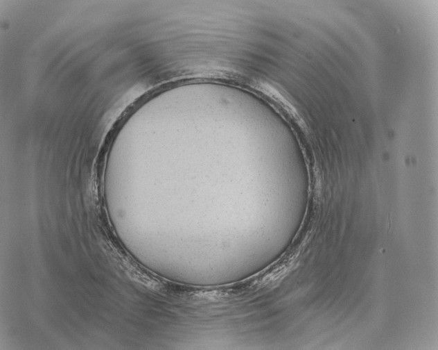 X0000072960883200608111648