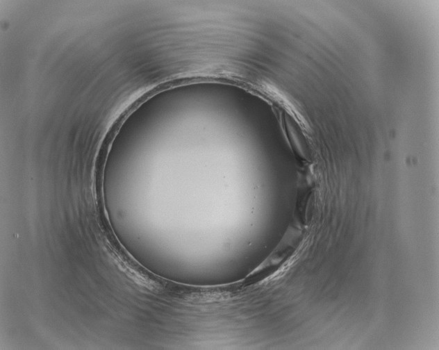 X0000072960884200608111648