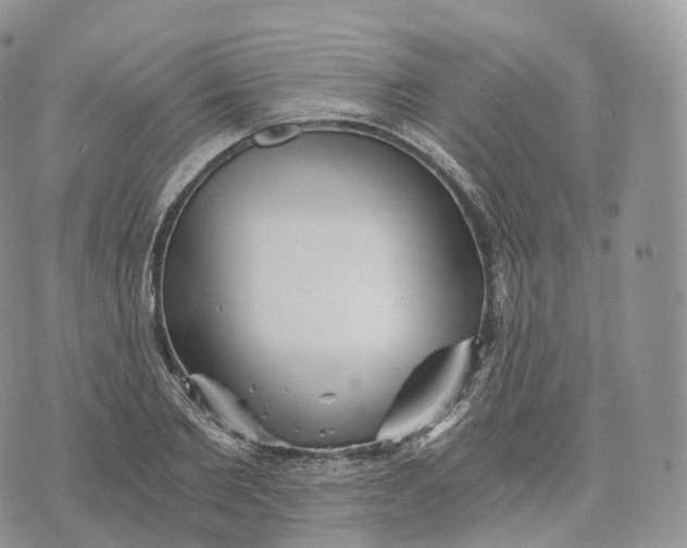 X0000072960885200608111648