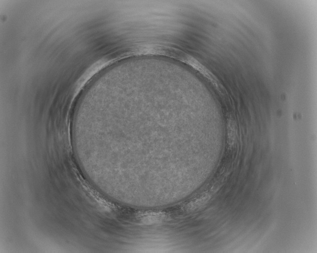 X0000072960886200608111648