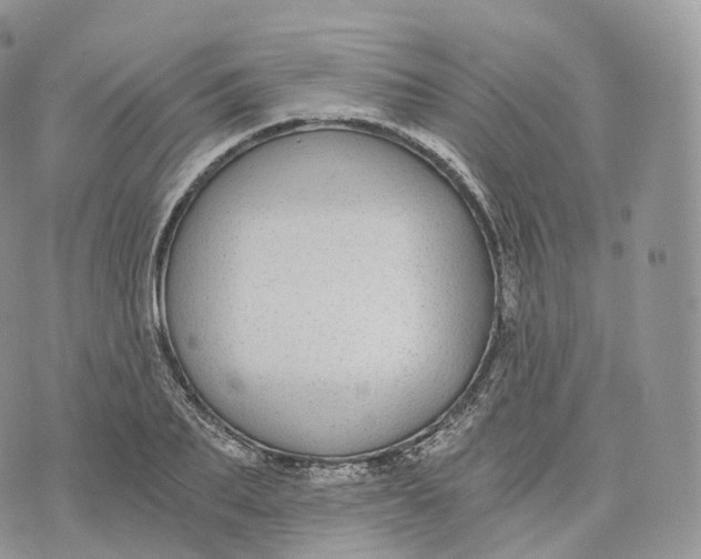 X0000072960887200608111648