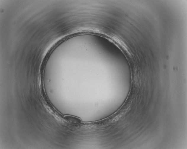 X0000072960888200608111648