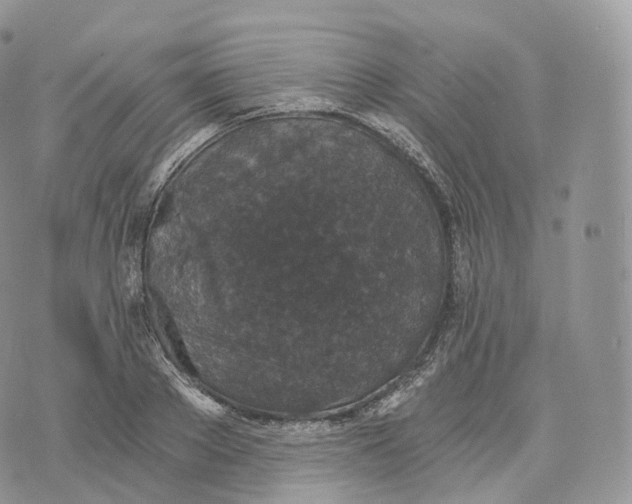 X0000072960889200608111648