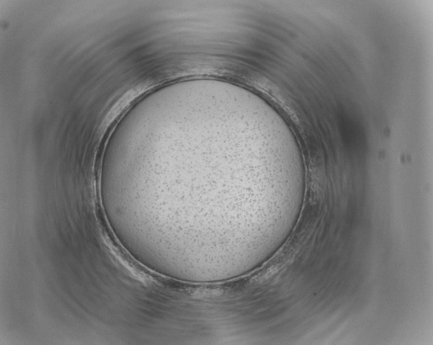 X0000072960890200608111648