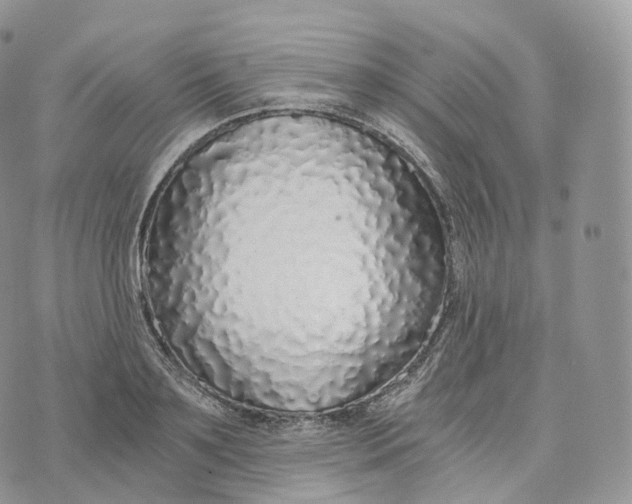 X0000072960891200608111648