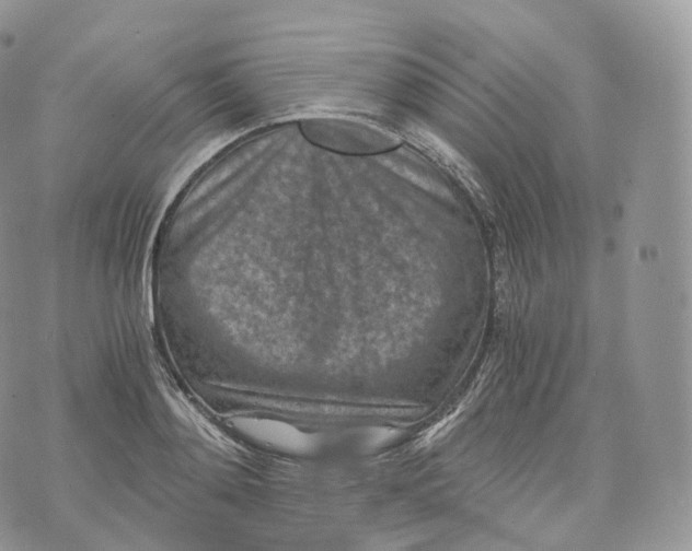 X0000072960892200608111648