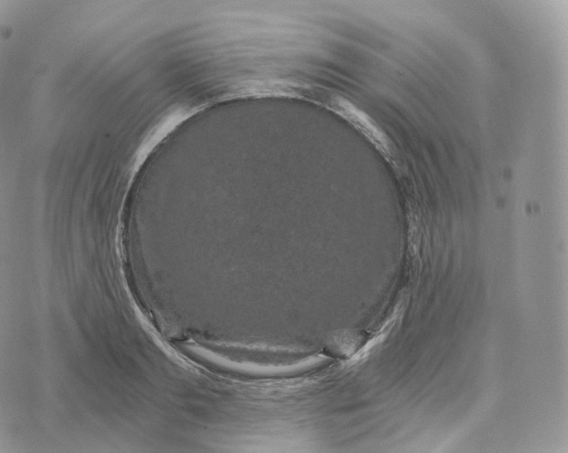 X0000072960893200608111648