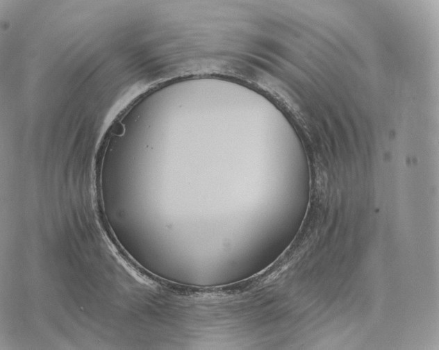 X0000072960894200608111648