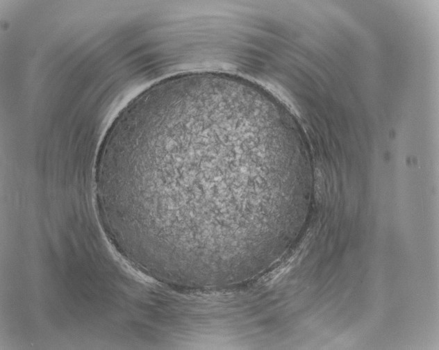 X0000072960895200608111648