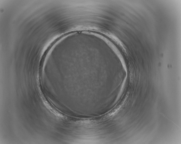 X0000072960896200608111648