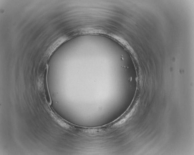 X0000072960897200608111648