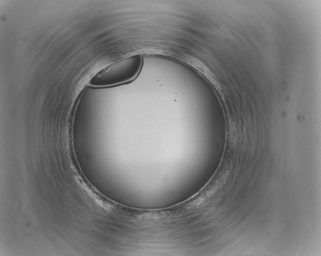 X0000072960898200608111648