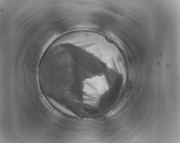 X0000072960899200608111648