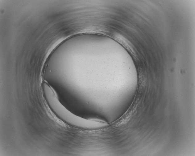 X0000072960900200608111648