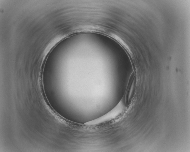 X0000072960901200608111648