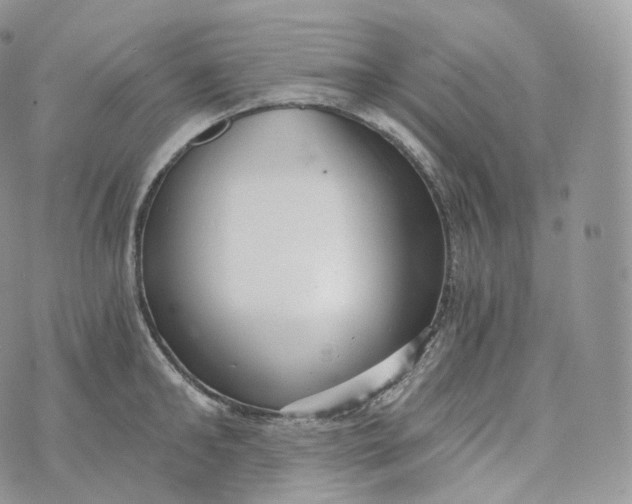 X0000072960902200608111648