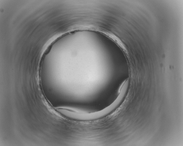 X0000072960904200608111648