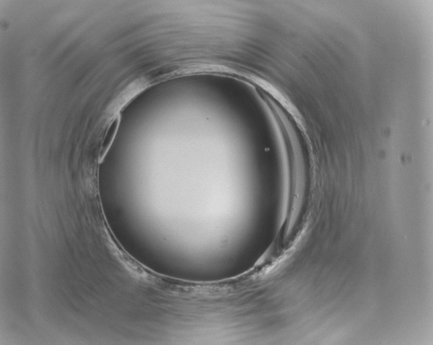 X0000072960905200608111648