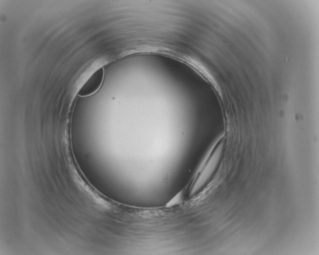 X0000072960906200608111648