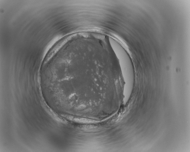 X0000072960907200608111648