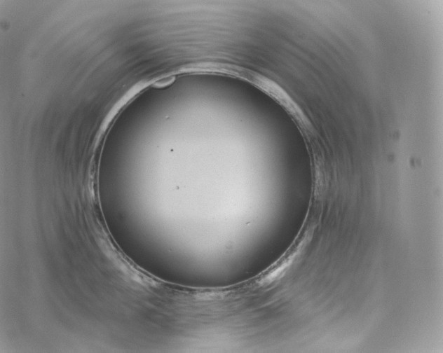 X0000072960908200608111648