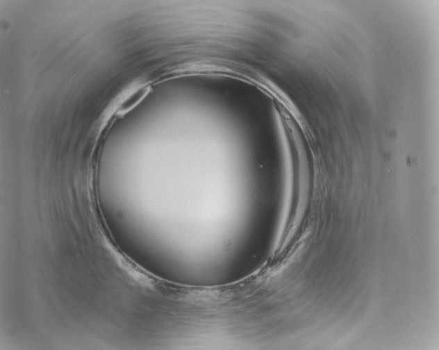 X0000072960909200608111648