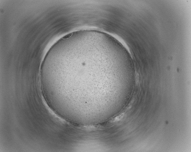 X0000072960911200608111648