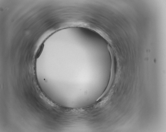 X0000072960912200608111648