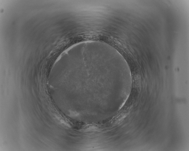 X0000072960913200608111647