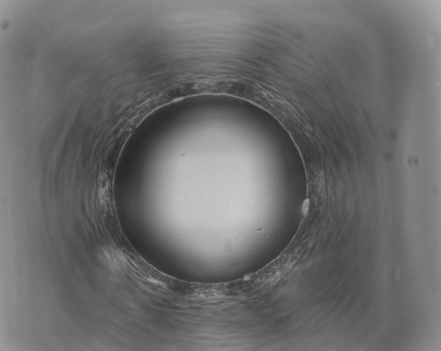 X0000072960914200608111647