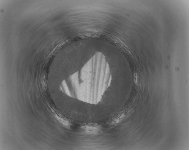 X0000072960915200608111647