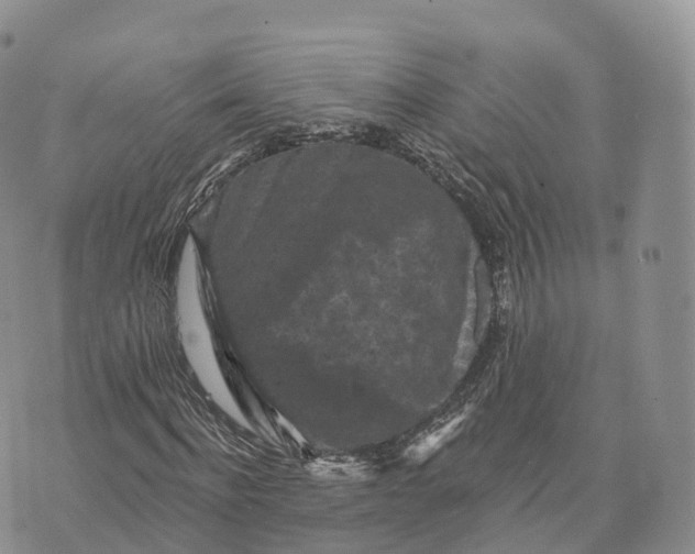 X0000072960916200608111647