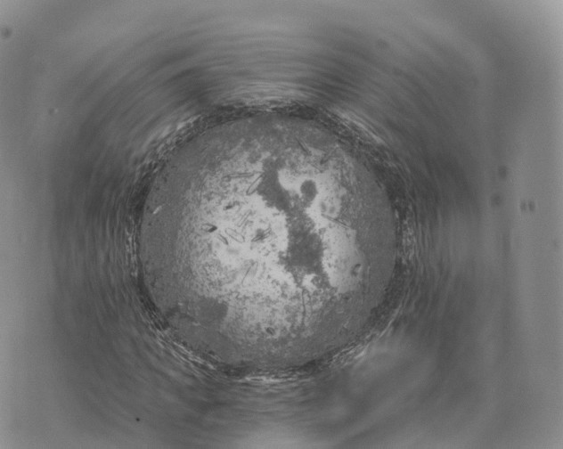 X0000072960917200608111647