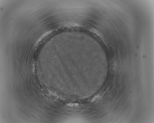 X0000072960919200608111647