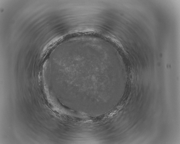 X0000072960920200608111647