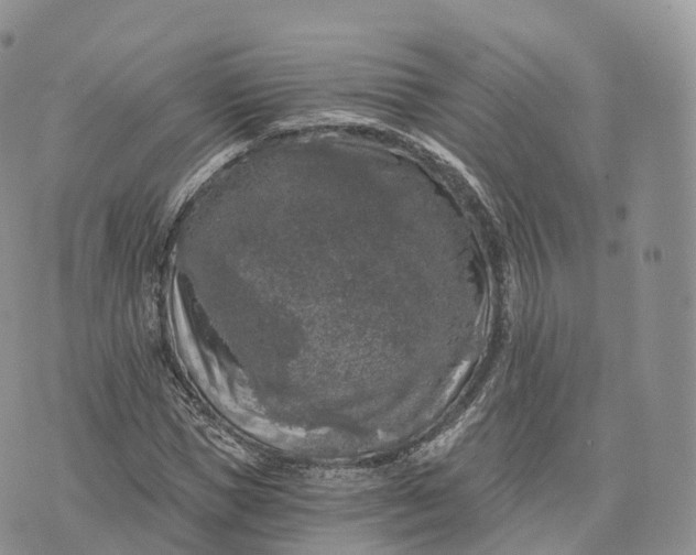 X0000072960921200608111647