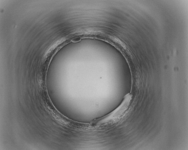 X0000072960922200608111647