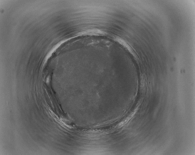 X0000072960923200608111647