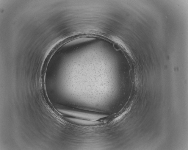 X0000072960924200608111647