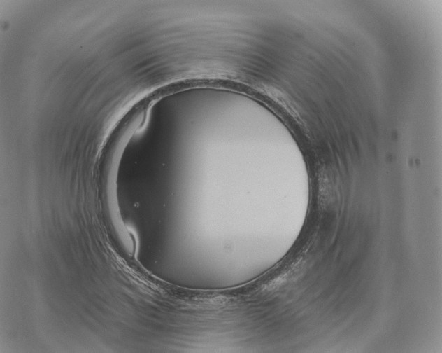 X0000072960926200608111647