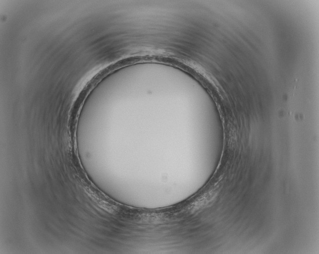 X0000072960927200608111647