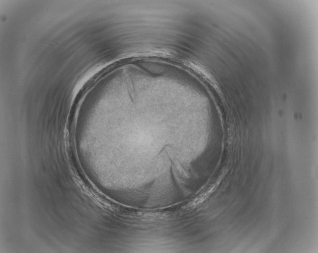 X0000072960928200608111647