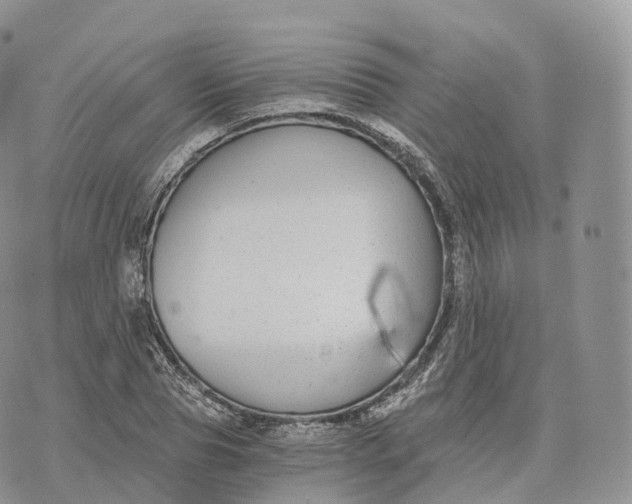 X0000072960929200608111647