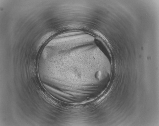 X0000072960930200608111647