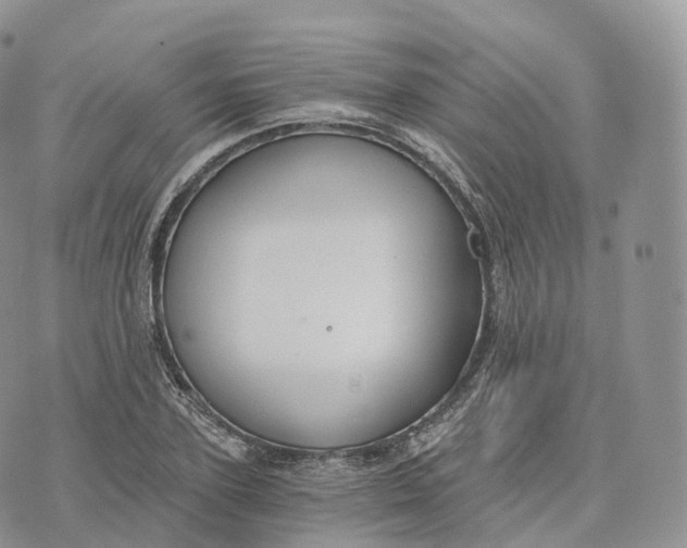 X0000072960931200608111647