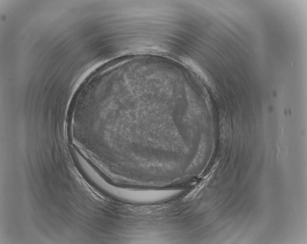 X0000072960932200608111647