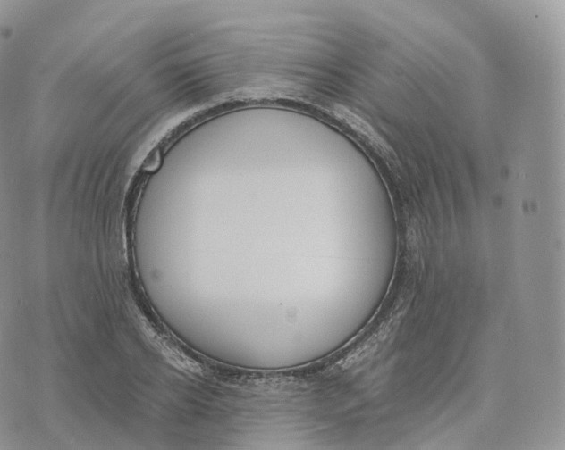 X0000072960934200608111647