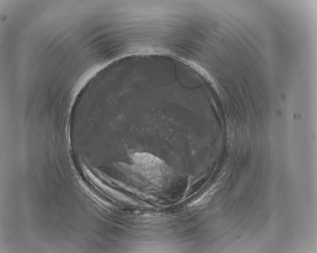 X0000072960935200608111647