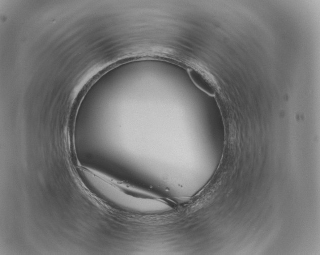 X0000072960936200608111647