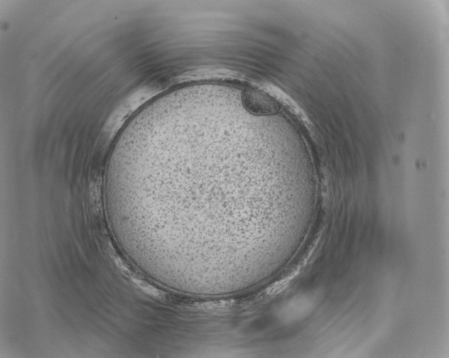 X0000072960937200608111647